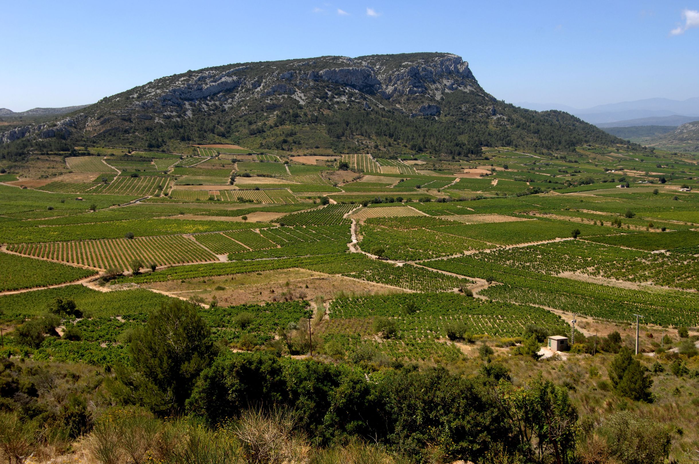 Côtes du Roussillon Villages
